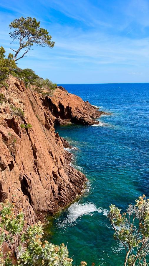 Les Cactus Frejus Plage Exterior foto