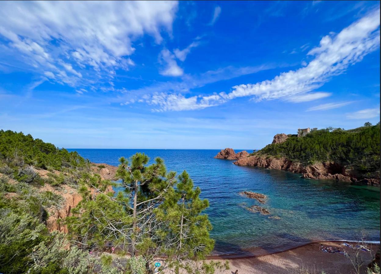 Les Cactus Frejus Plage Exterior foto